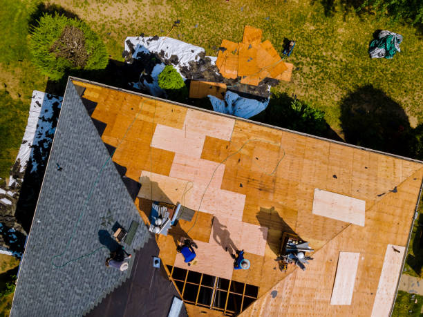 Best Affordable Roofing Company  in Perezville, TX