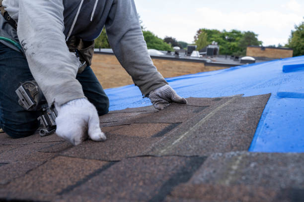 Best Gutter Installation and Roofing  in Perezville, TX